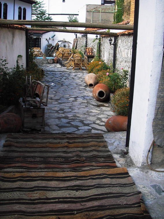 IMGP2448
