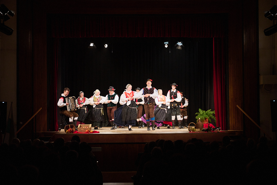 LetniKoncertCOF_15-11-25_387